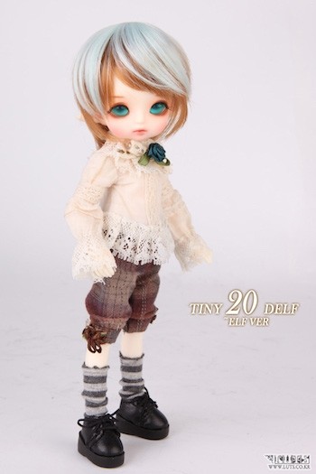Tiny Delf 20 - BOY (Elf Ver.) 